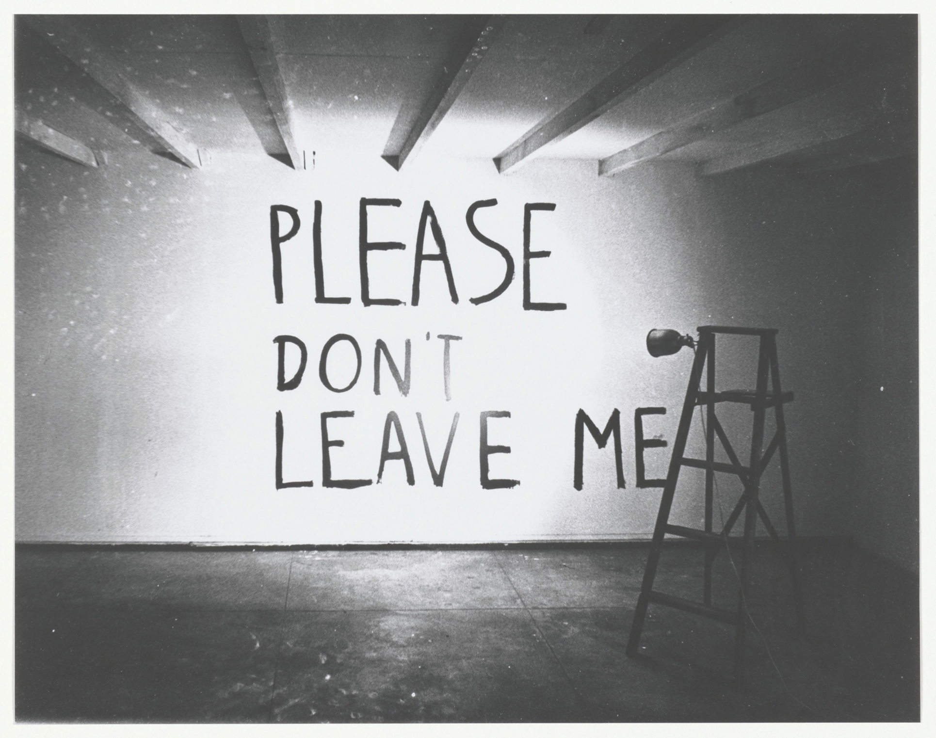 Bas Jan Ader, Please don't leave me, 1969