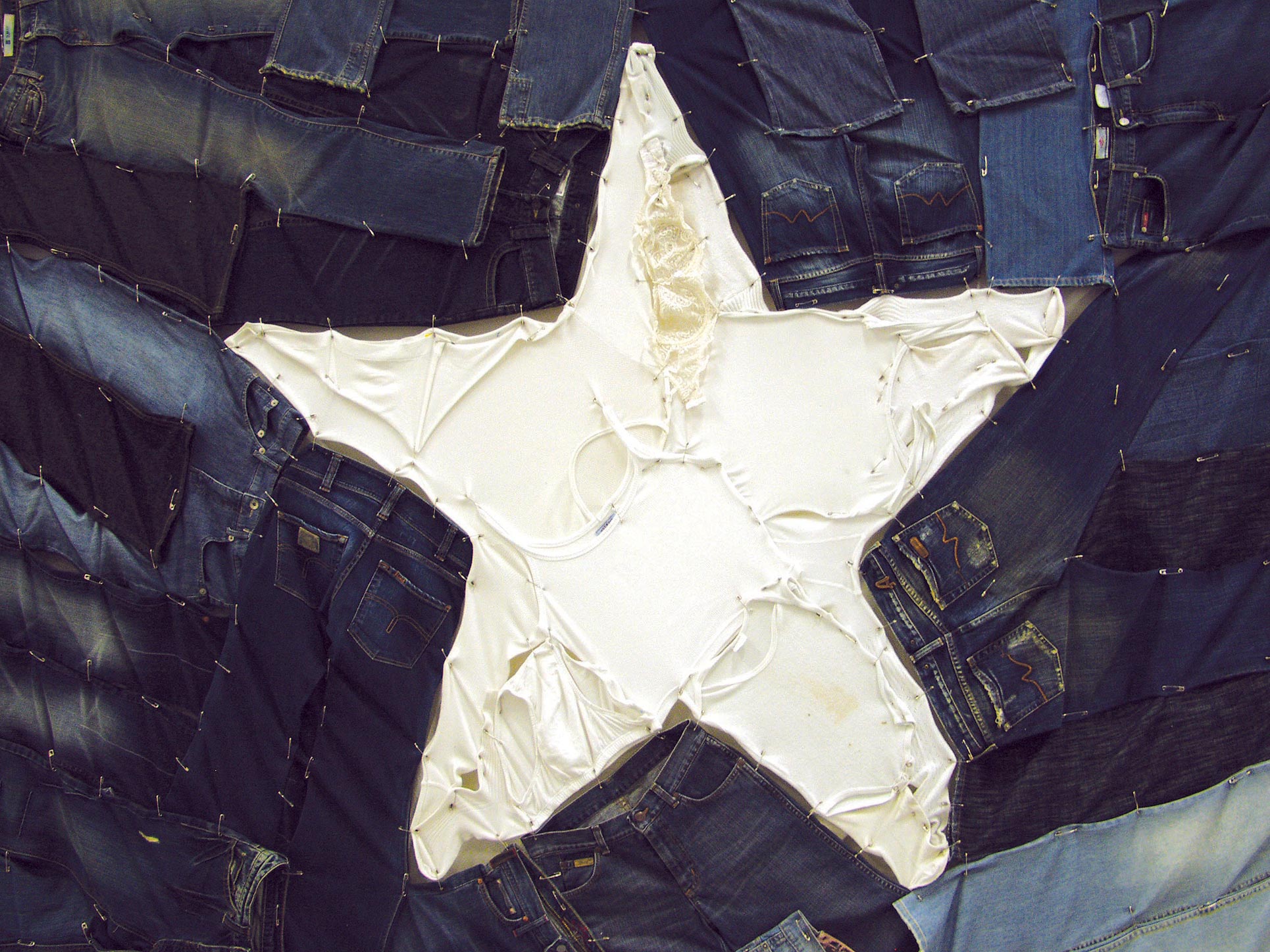 Costa Vece, This is not America (Lone Star Flag), 2005