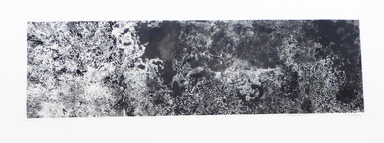 Francine Mury, Jiang Zuquin, Peking 2018, Chinatusche auf Maulbeerpapier 138 x 490 cm