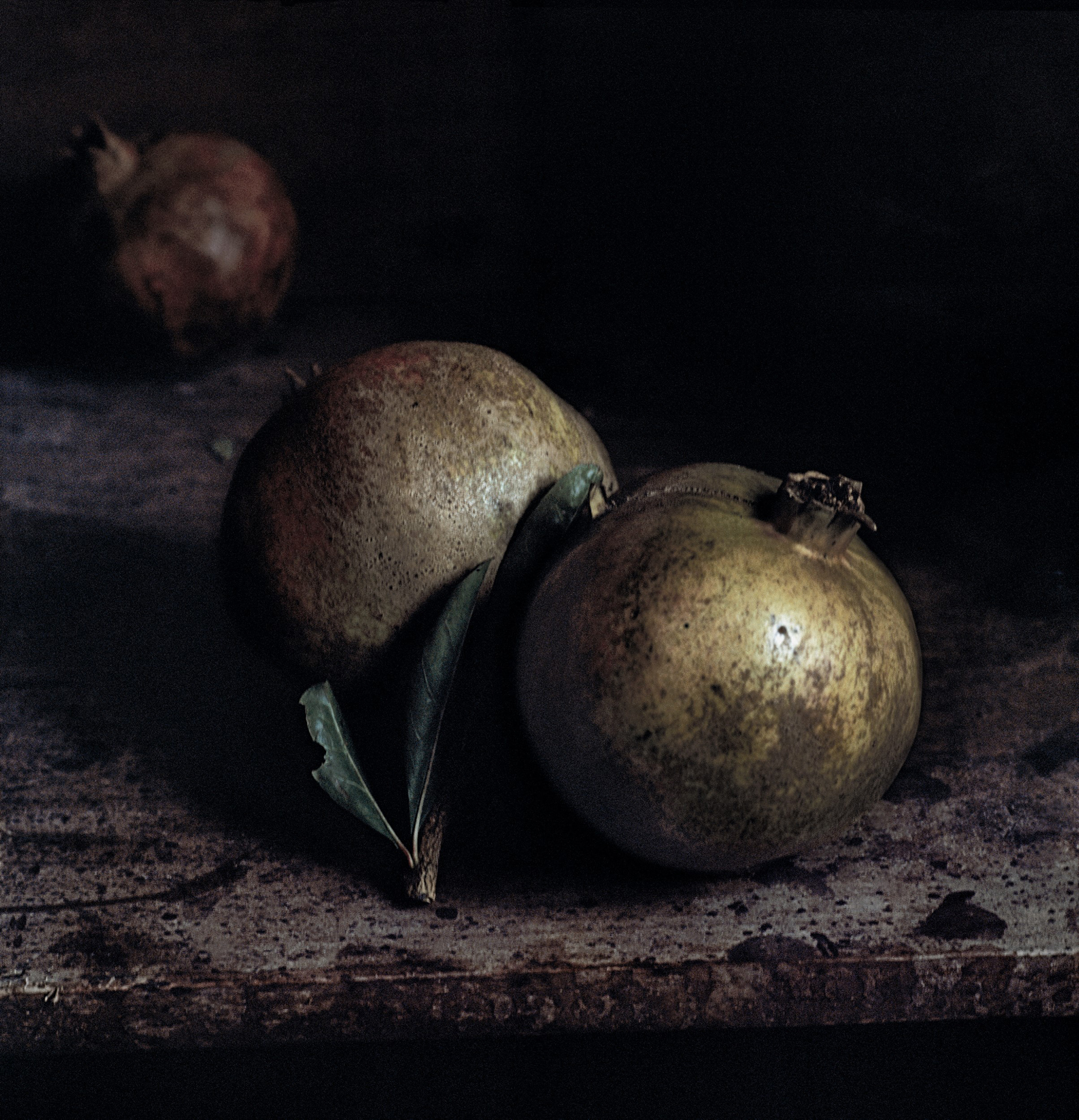 Craigie Horsfield Two pomegranates, Via Chiatamone, Naples. November 2009 2013. Courtesy der Künstler und Large Glass, London 

