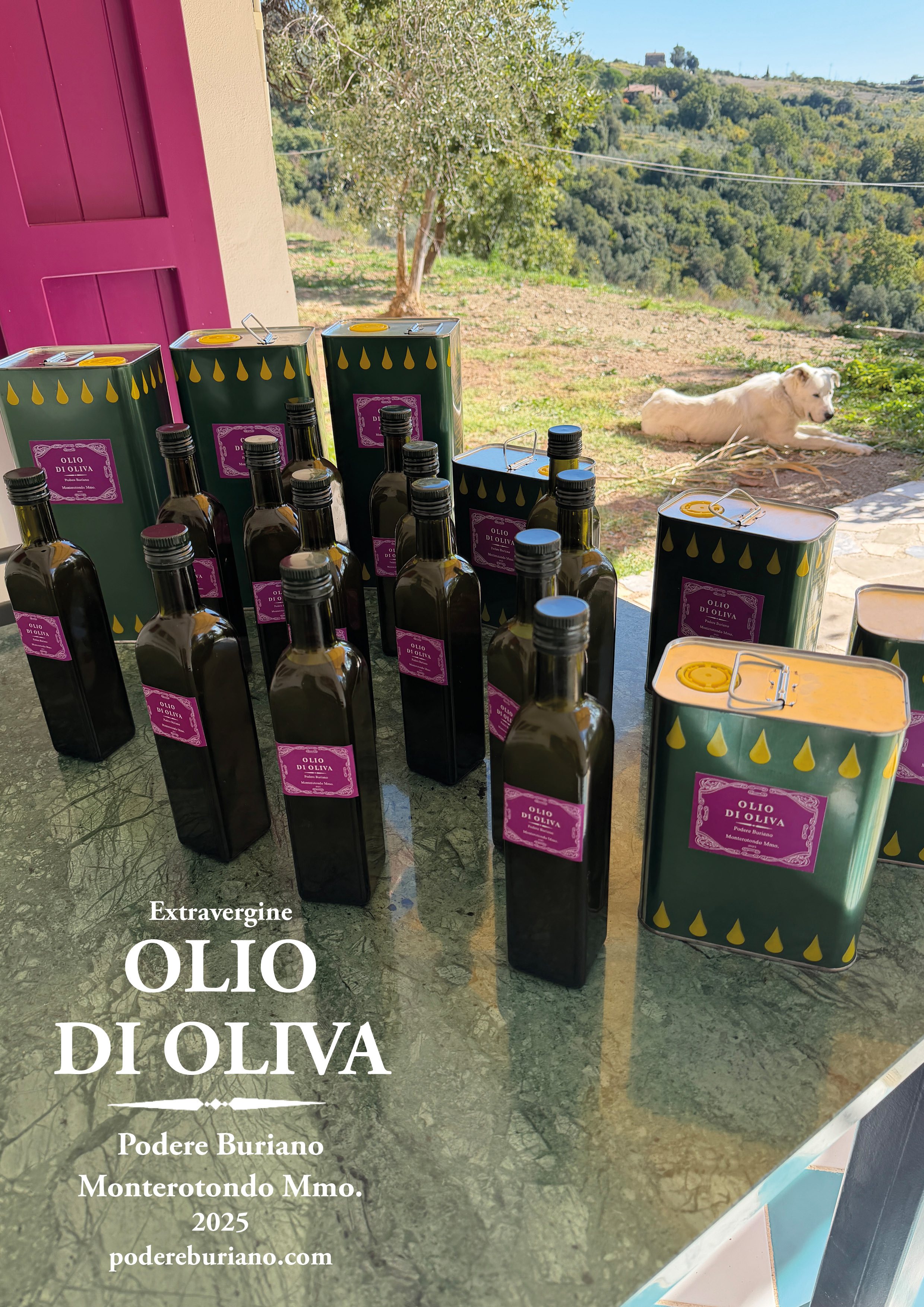 Podere Buriano, Olio di Oliva extravergine Podere Buriano Monterotondo Mmo. Design and photo © Barbara Fässler. Etiquette design © Hans Fässler 1985