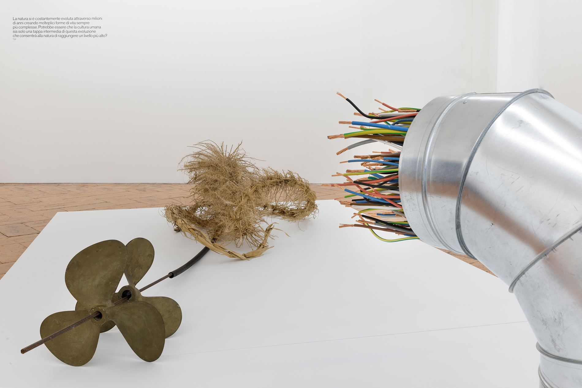 Teres Wydler, Ausstellungsansicht. The Code, 2018, Installation mit Bambuswurzeln, Metallröhren, Propeller, Kupferkabeln.jpg